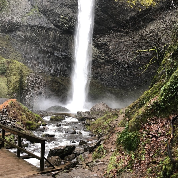 Meet your Posher, Gretchen - Picture 1 of 1